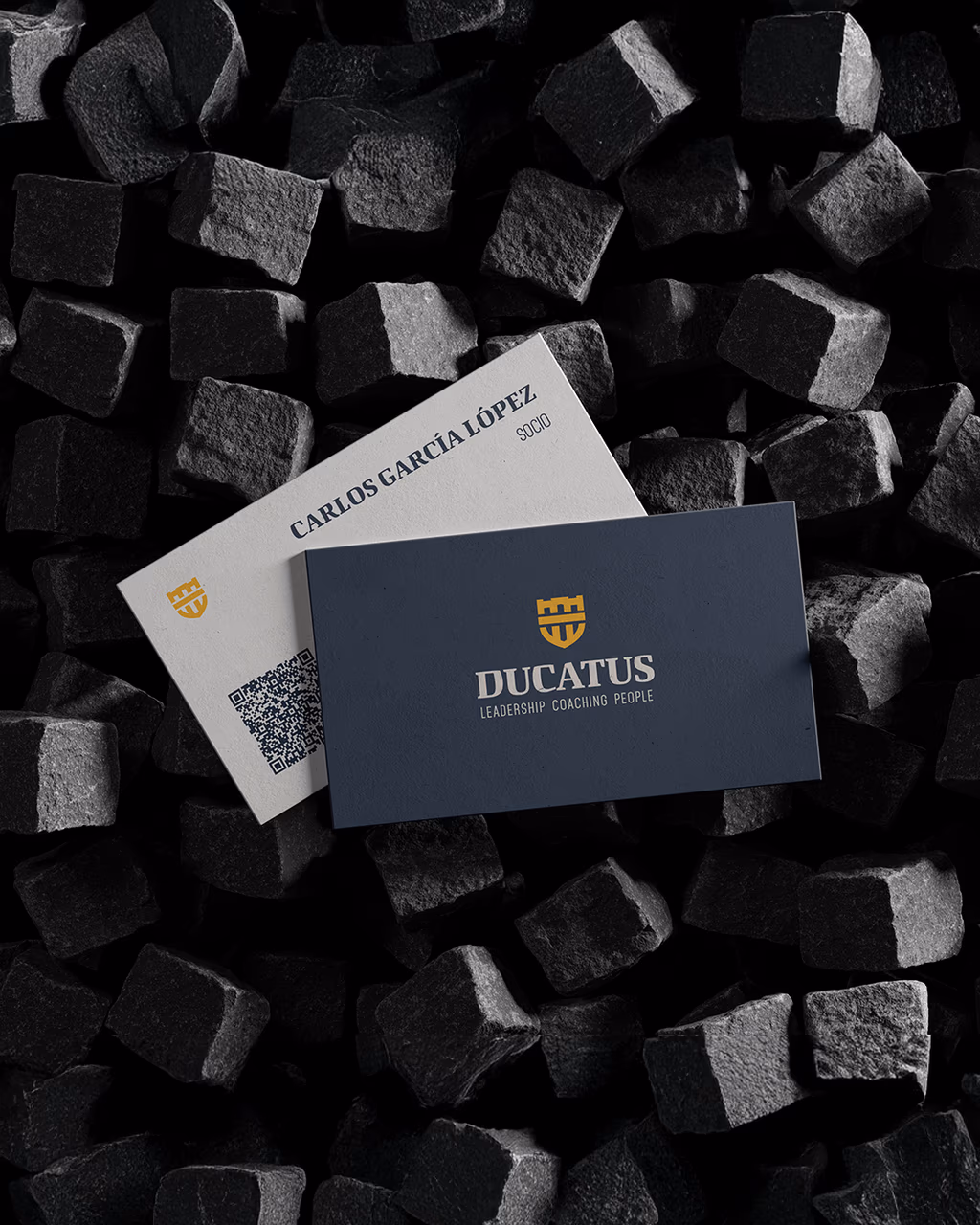 Mockup_Business cards_DUCATUS_1920x1350px