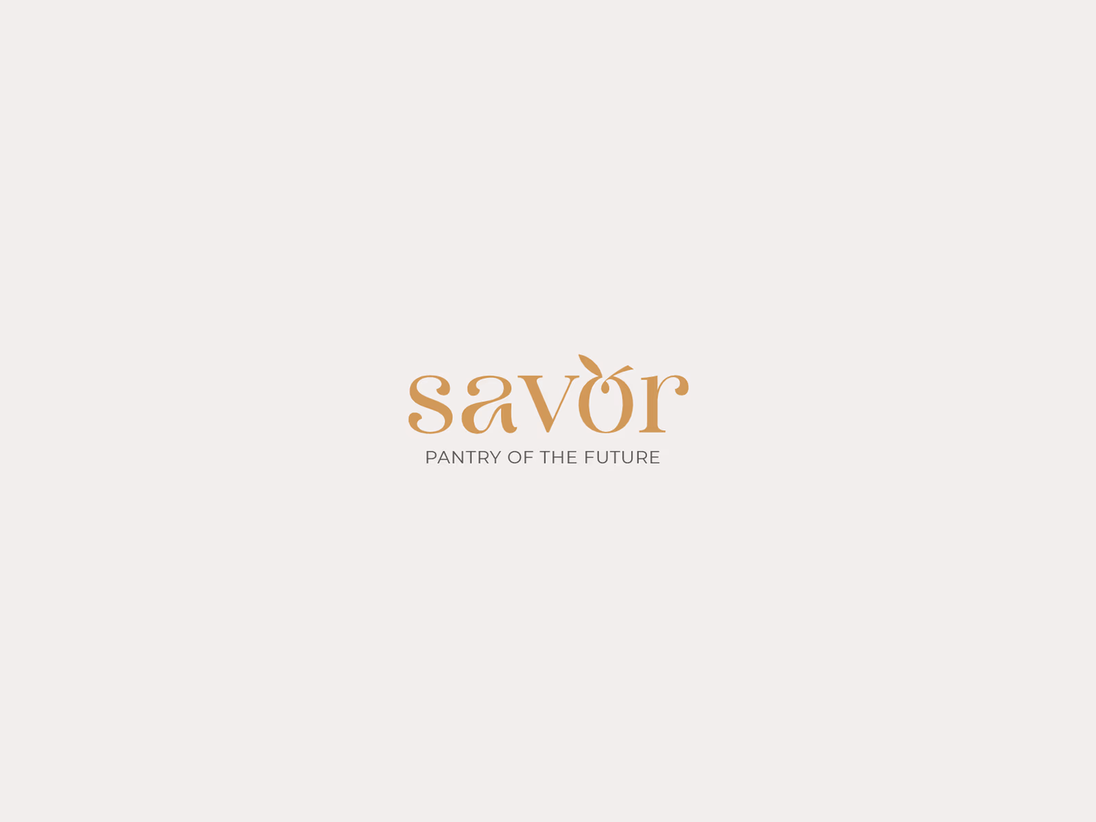 presentacion_visual_savor 5