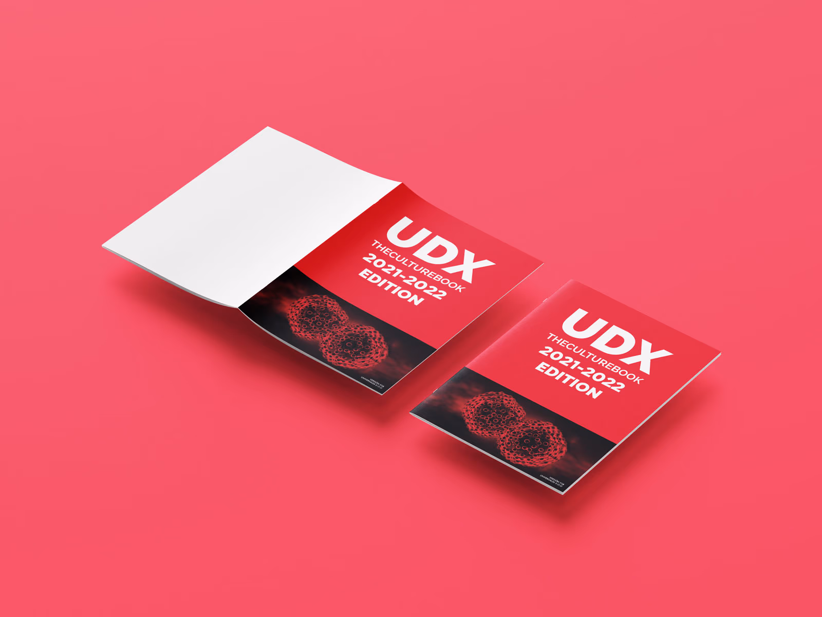 Dossier_universalDX_5