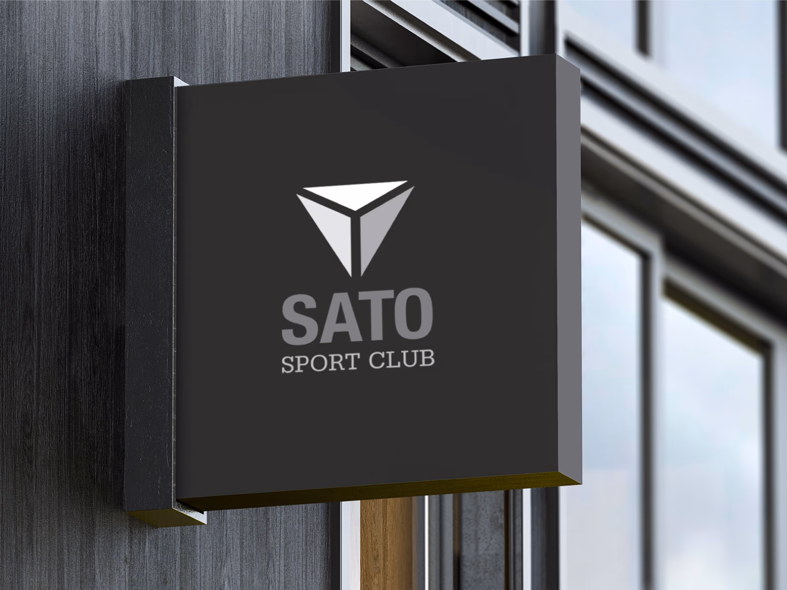 presentacion_SATO-12