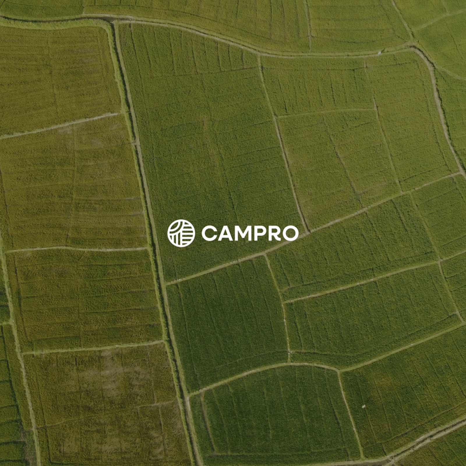 Identidad visual corporativa para consultoría ambiental