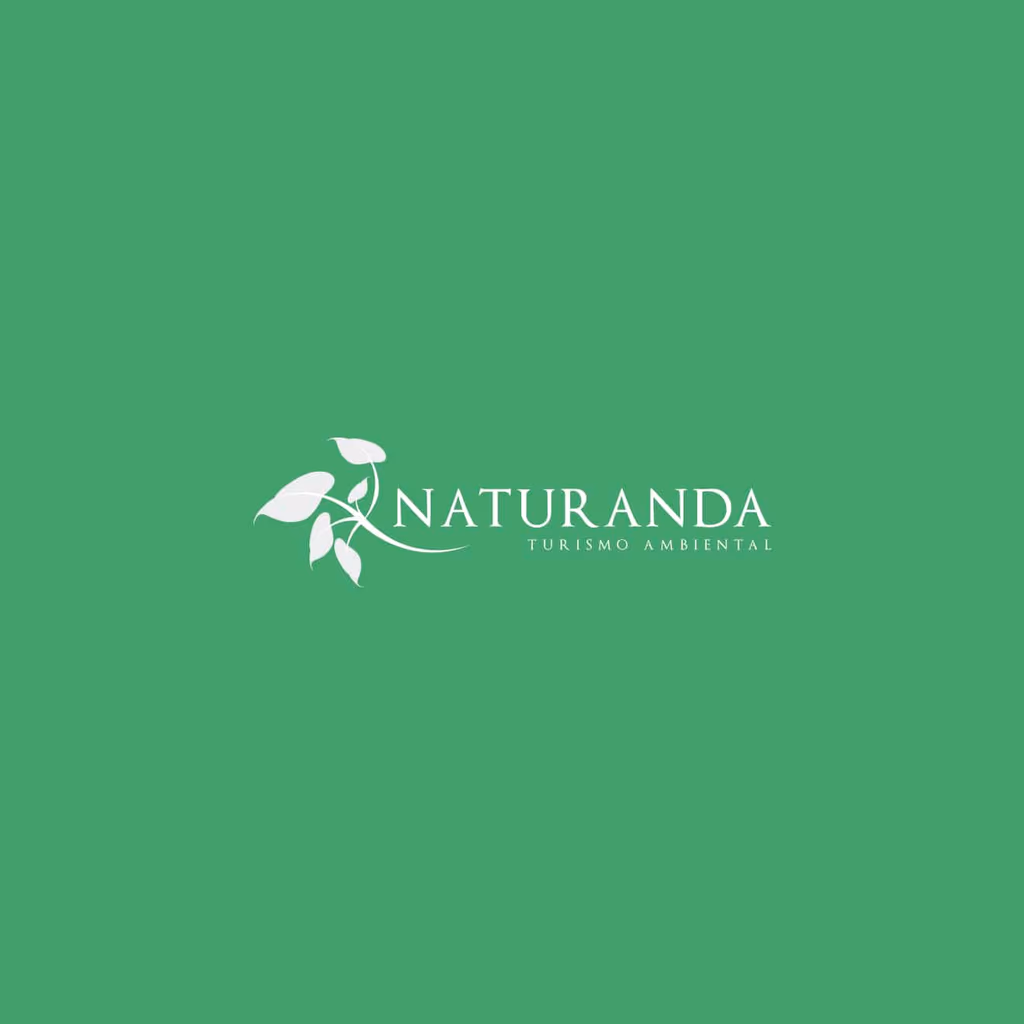 Identidad visual