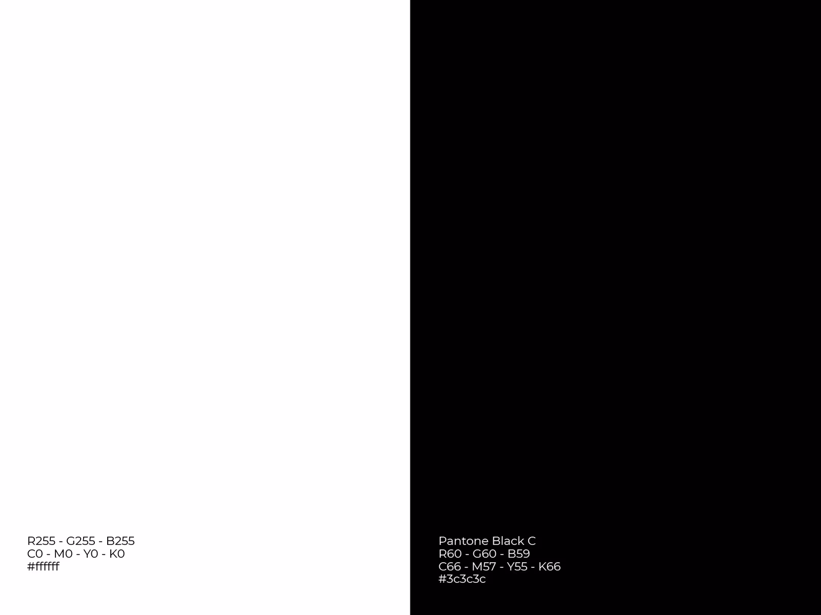 presentacion_visual_seyses_4