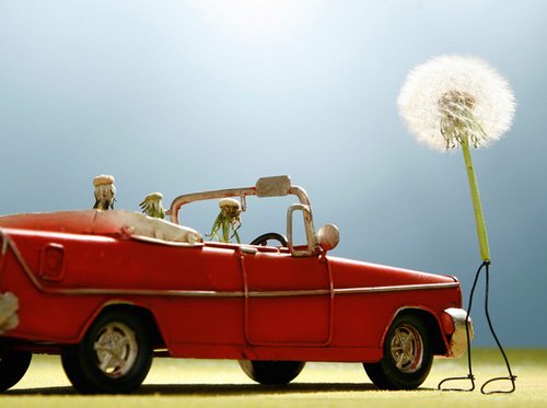 personnification voiture