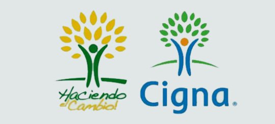 logo plagiado