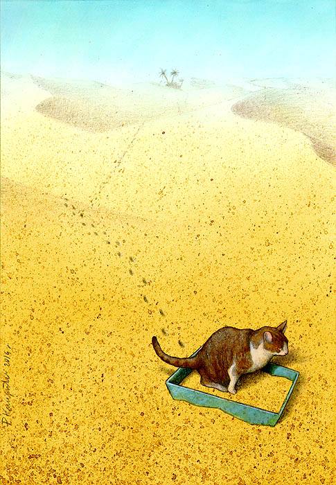 ilustraciones sobre reflexión
