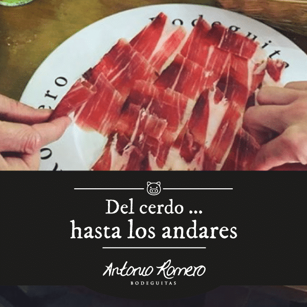 antonioromero7