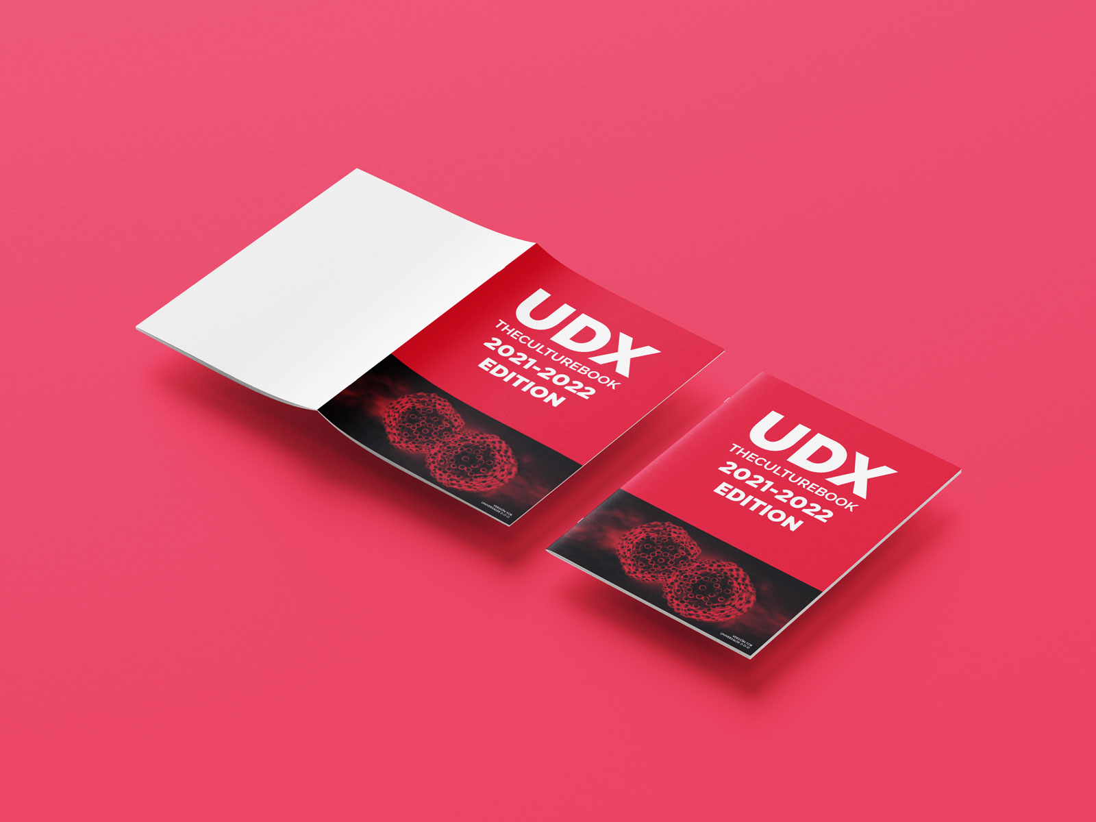 Dossier_universalDX_5