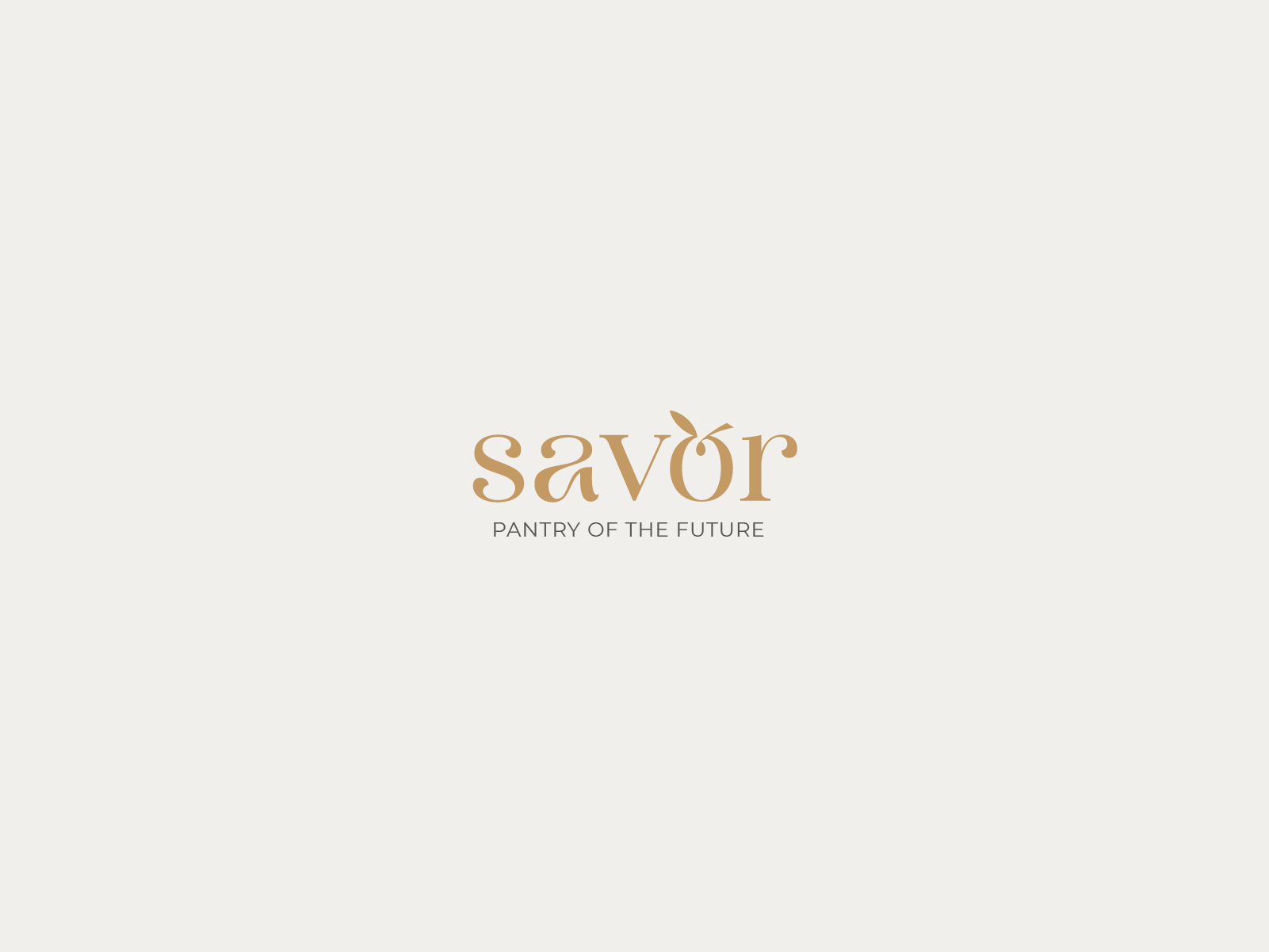 presentacion_visual_savor 5