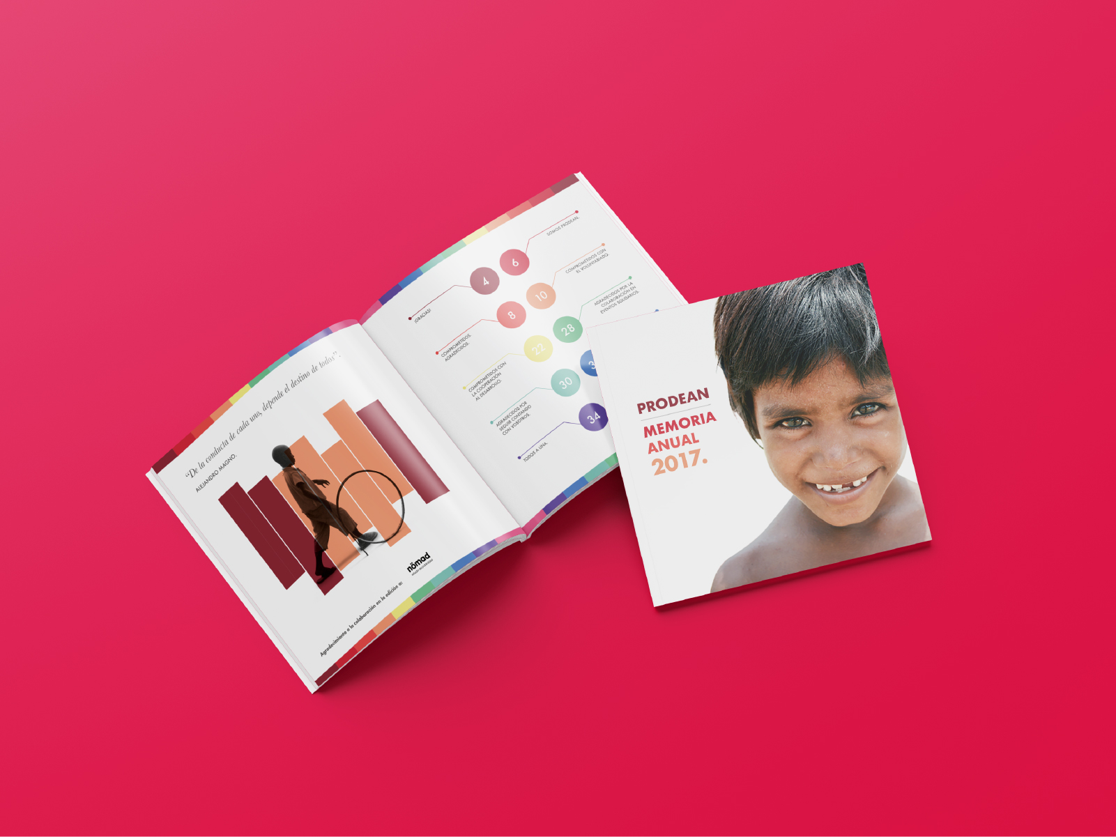 diseño_memoria_anual_prodean_1