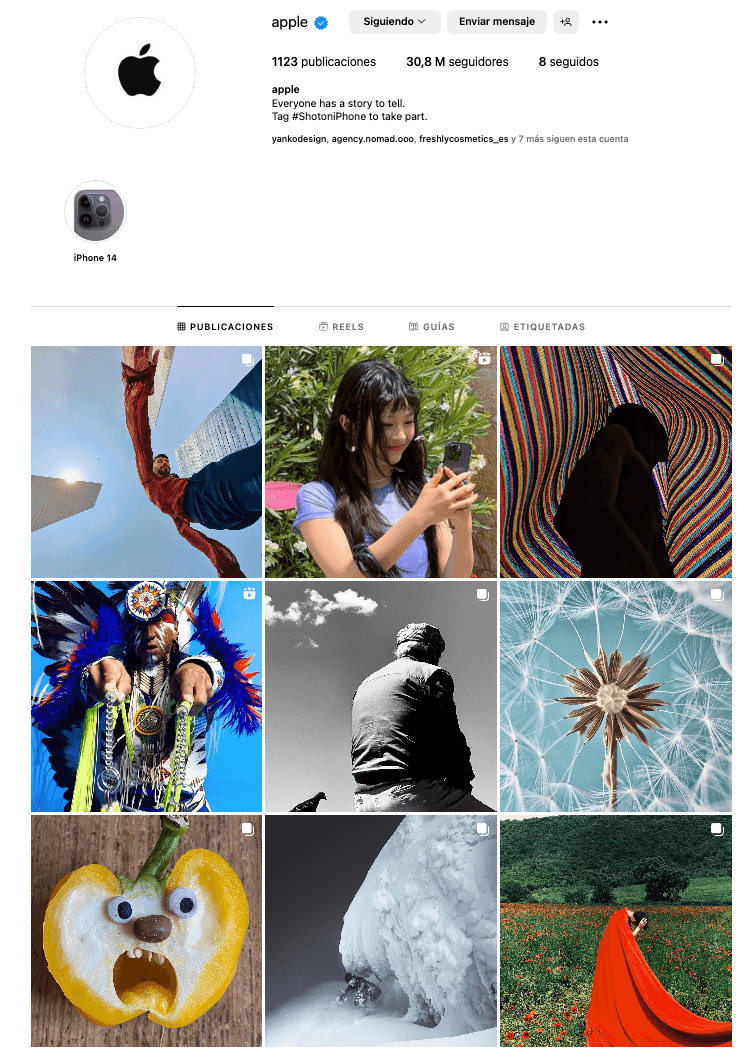 ugc-apple