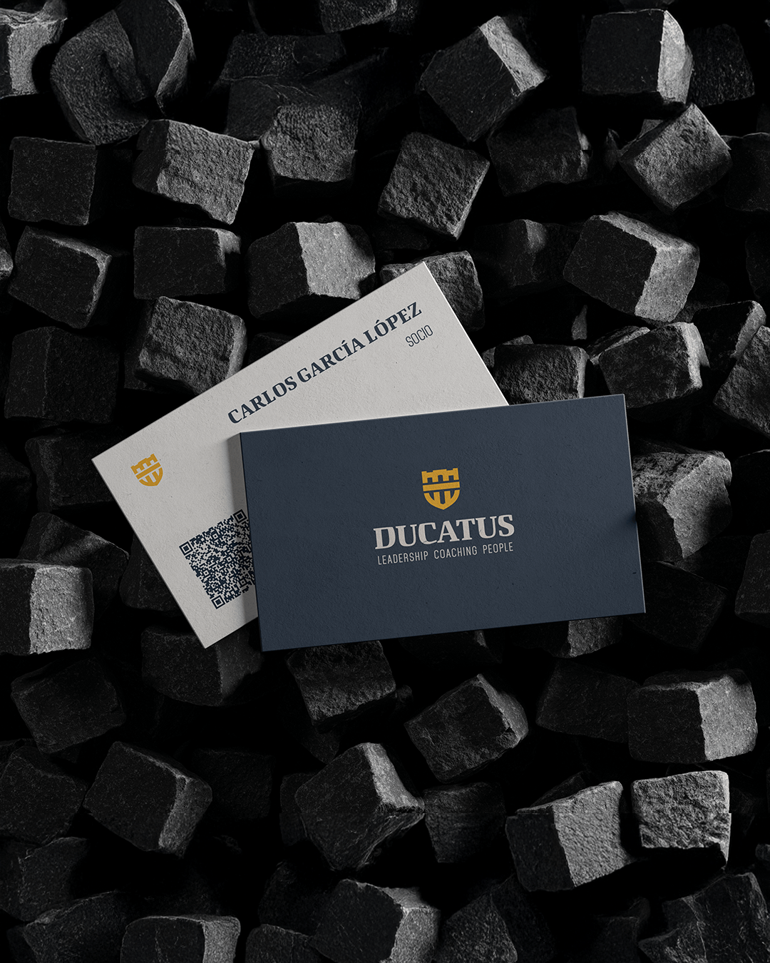 Mockup_Business cards_DUCATUS_1920x1350px